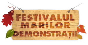 Festivalul marilor demonstratii la Bricostore