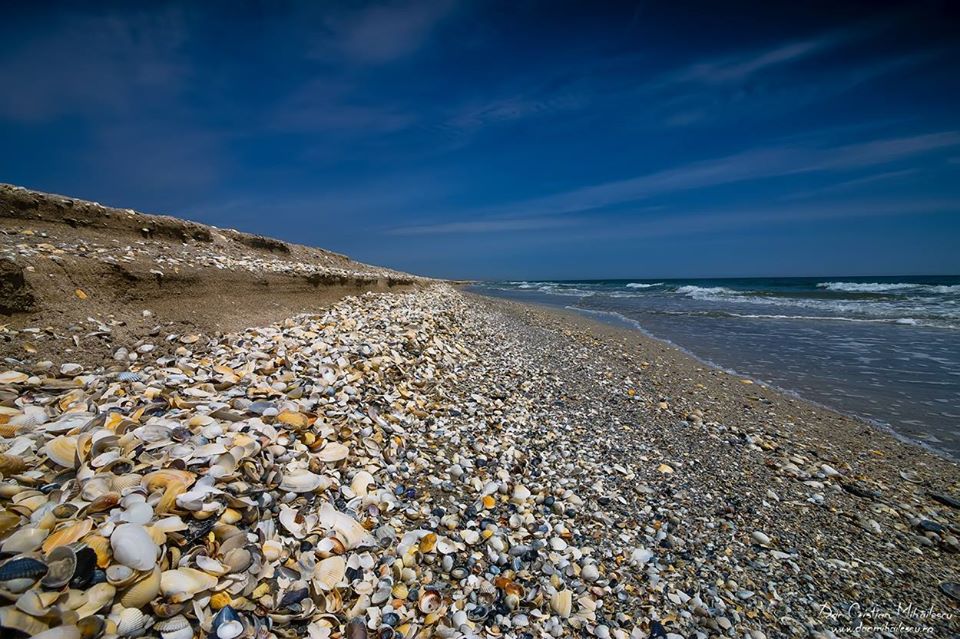 Comuna Corbu Sau Ancora Deltei Obiectiv Turistic In Continuă