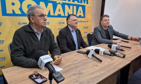 Chițac și Mitroi, candidatură în tandem