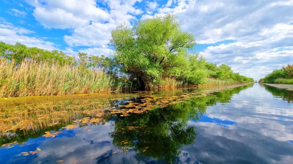 Peștele din Deltă, în pericol! Apel urgent al unei asociații de pescari din Sfântu Gheorghe
