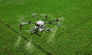 Alerta de dronă la Constanța: Dezinformare