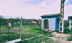Comuna cu Dunărea la poartă și mizeria în curte